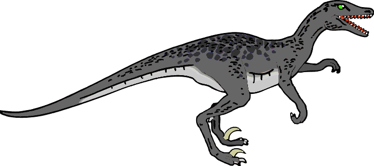 Raptor -  6